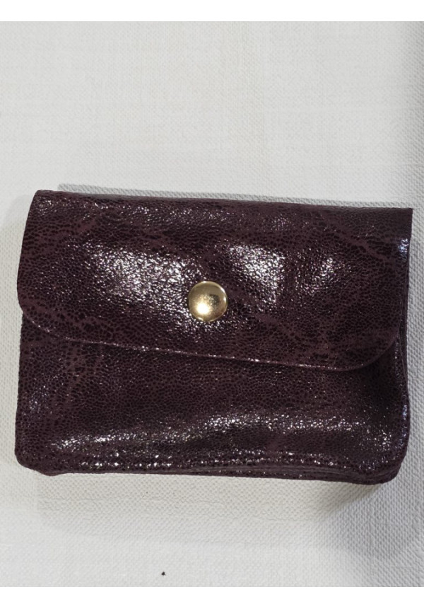 Cartera Piel Brillo