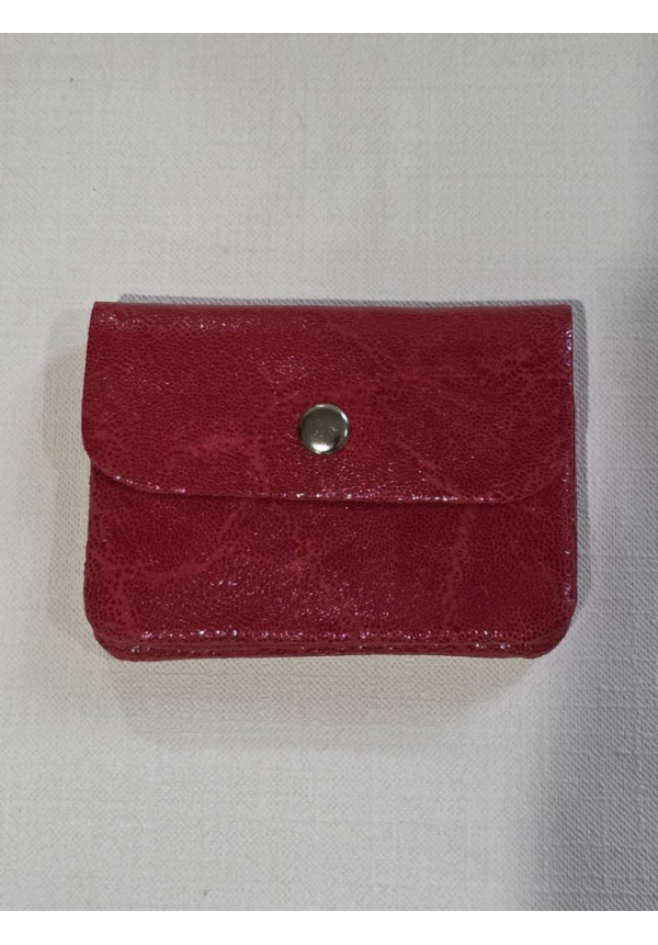 Cartera Piel Brillo