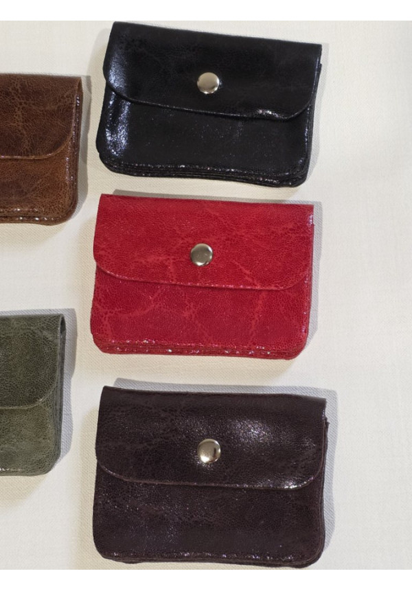 Cartera Piel Brillo