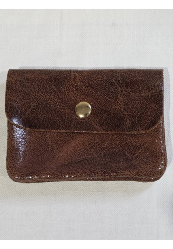 Cartera Piel Brillo